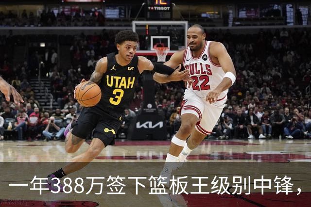 一年388万签下篮板王级别中锋，尼克斯这笔操作被赞性价比极高