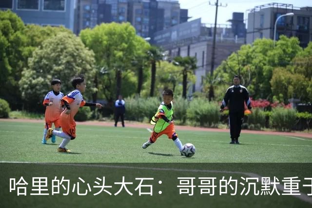 哈里的心头大石：哥哥的沉默重于父亲的翻脸