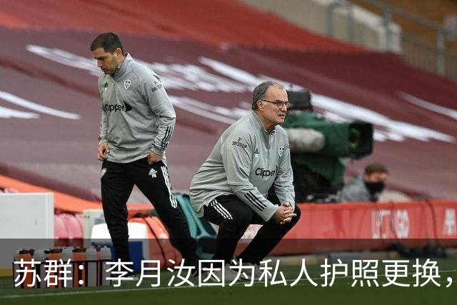 苏群：李月汝因为私人护照更换，新旧护照一起给寄丢了